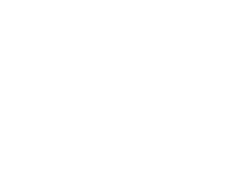 True Spices Logo 800 X600px Wht
