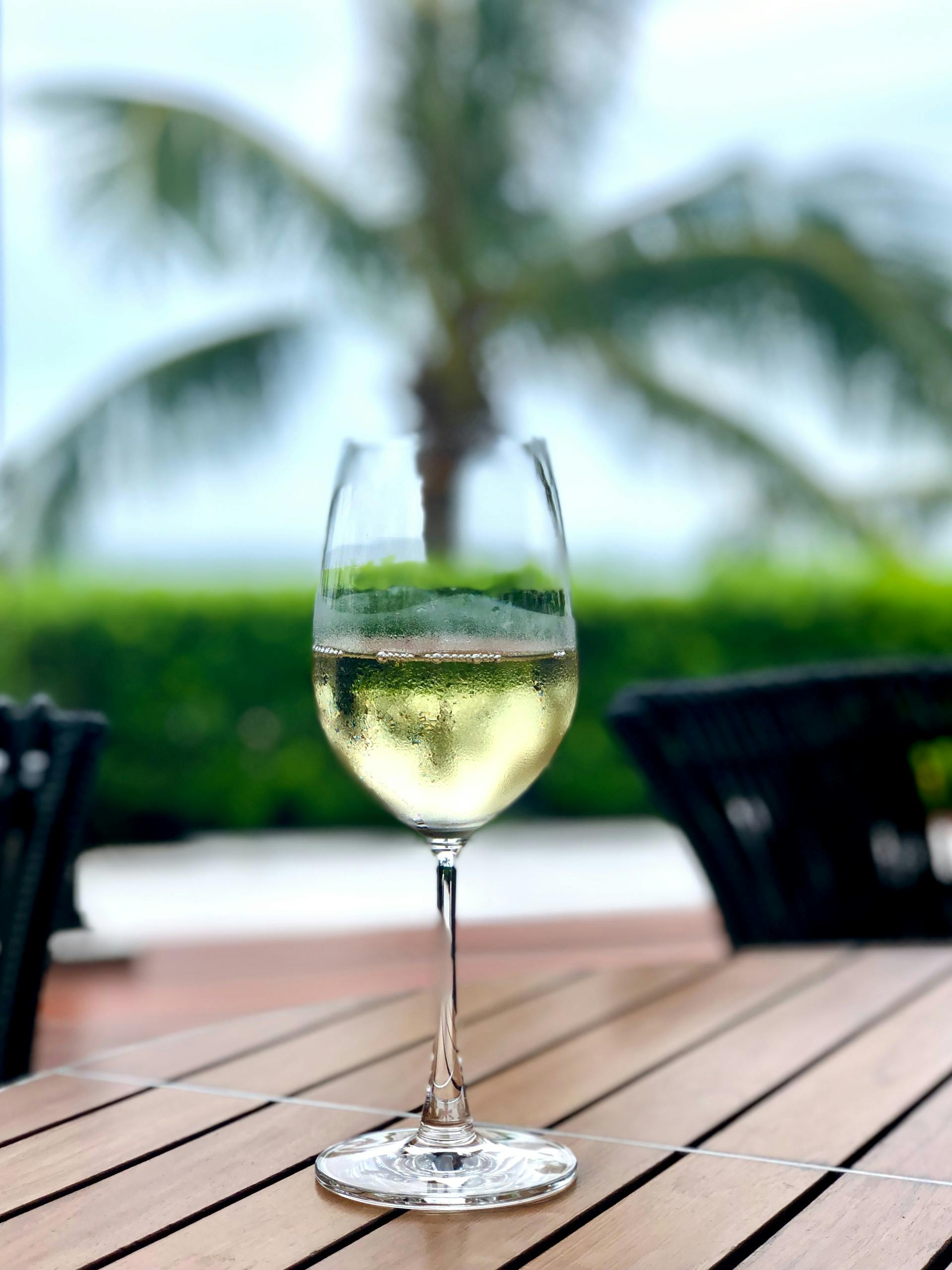 Weinglas auf Tisch mit klarer Flüssigkeit drinnen, im Hintergrund eine Palme