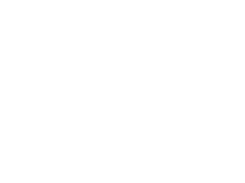 Burnhard Logo 800 X600px Wht