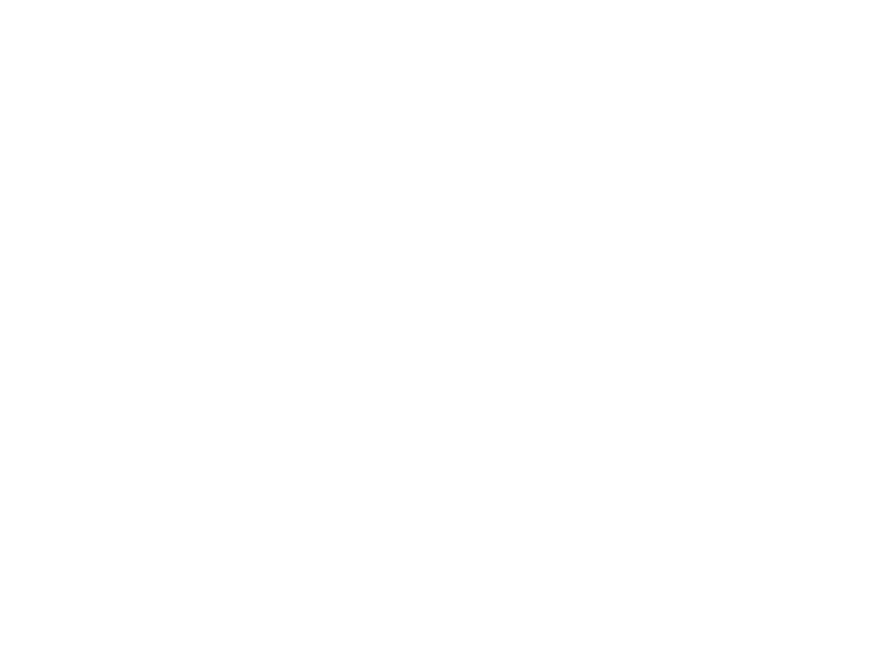 Weber Grills Logo 800 X600px Wht